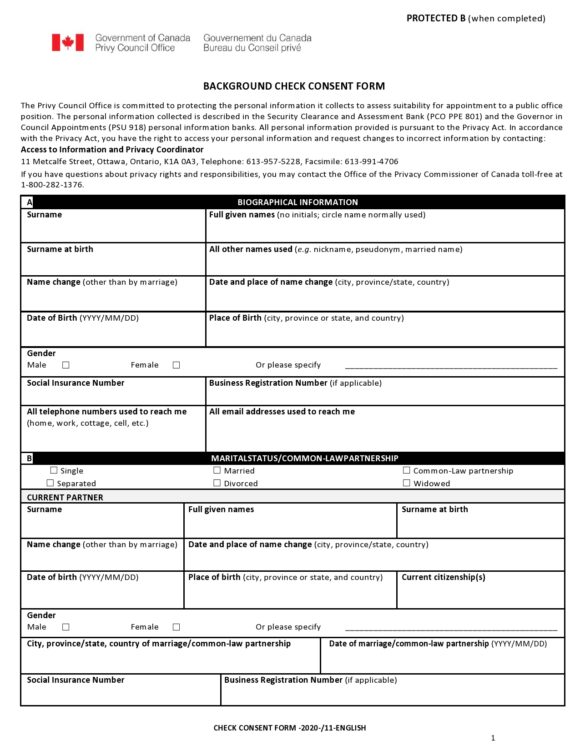 40 Useful Background Check Consent Forms (FREE)