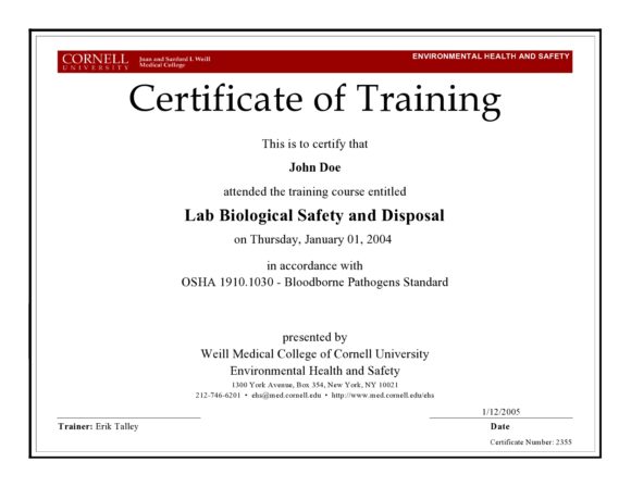 training certificate template 26