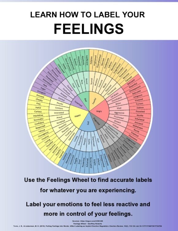 feelings wheel 01